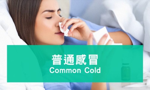 阿加曲班的用法和用量、阿加曲班2ml10mg价钱 -进口阿加曲班说明书网